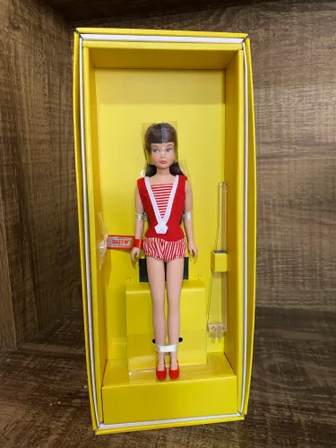 Barbie Skipper 60 Anos 