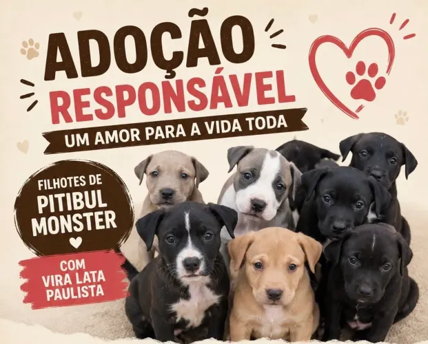 Adoação responsável de filhotes ?