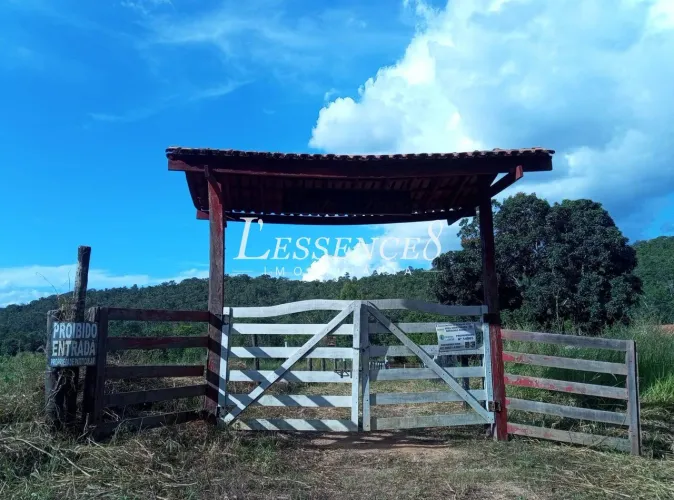 Chácara | Quase 3 Alqueires | Riacho e Cachoeira | Itaberaí | Go