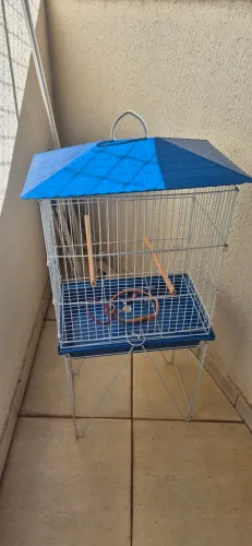 Gaiola para passarinho pequeno