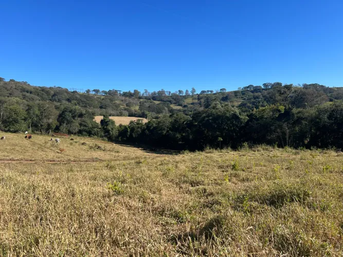 Vendo Chácara de 1.500 m2 a 25 minutos de Cascavel PR