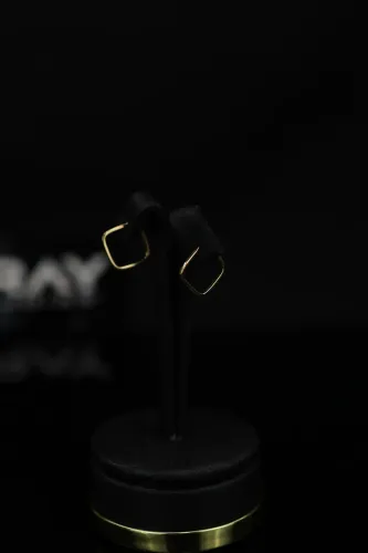 Par de Brincos de ouro 18k (750)
