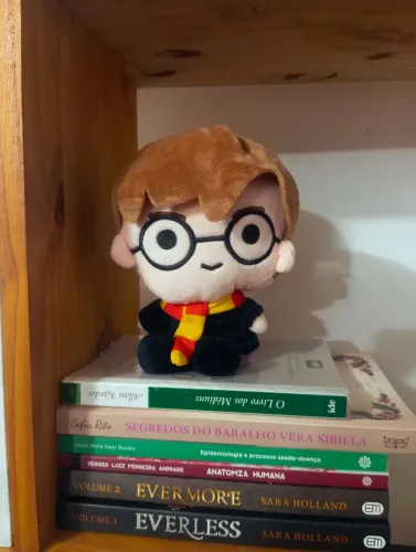 Pelúcia Harry Potter Cacau show