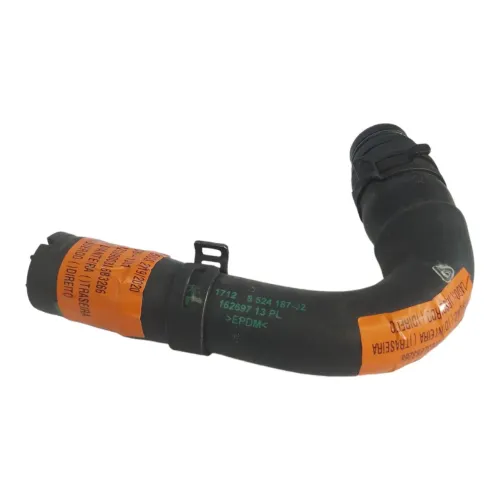 Mangueira Bomba De Água Bmw R1250gs 2019/2020