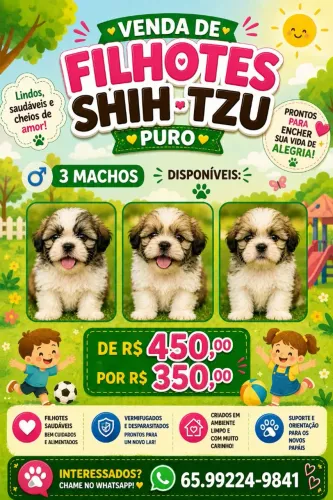 Cachorro