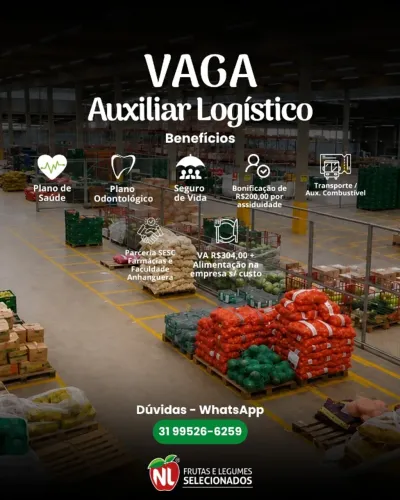 Auxiliar Logístico I - Empresa NL Frutas e Legumes Selecionados LTDA