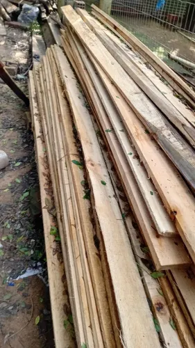 Tábuas de costaneira e caibros