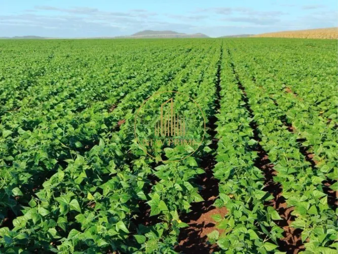 Fazenda à venda, 1 quarto, 1 suíte, 4 vagas, Área Rural de Unaí - Unaí/MG