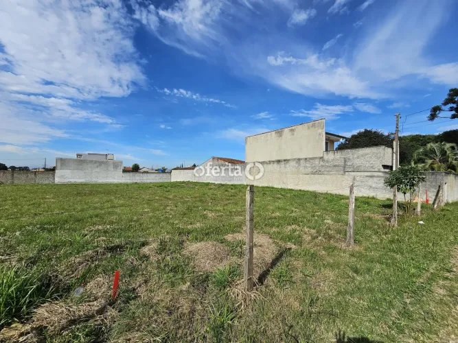 Terreno no Vila Nova, em Araucária
