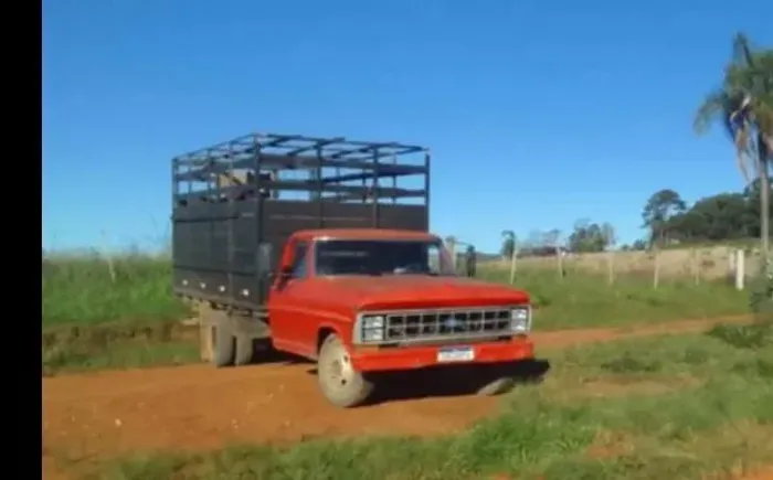 F4000 boiadeiro 