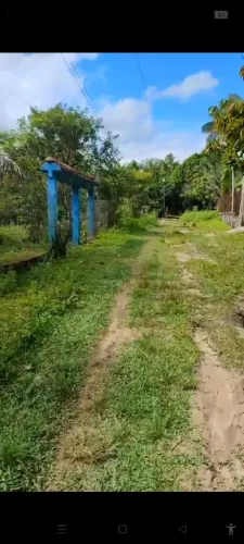 Vendo terreno