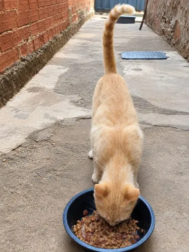 Doação.
