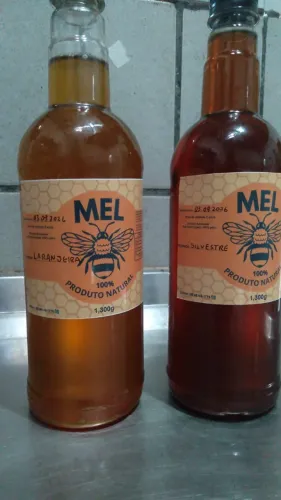 mel de abelhas 1lt