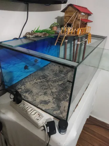 VENDO AQUÁRIO COMPLETO COM TODOS OS EQUIPAMENTOS NECESSÁRIOS