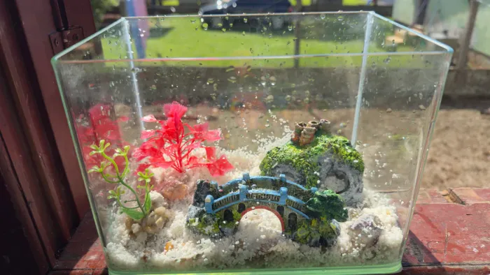 Aquário Betta 8L