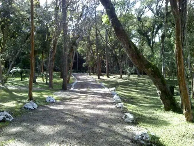 Locação Chácara 8.000m2 ideal Hotel Pet