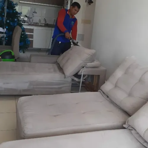Lavagem a seco e Higienização .