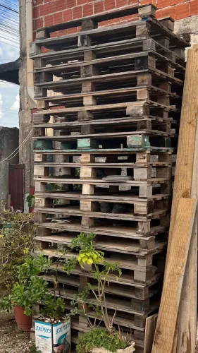 Palete 