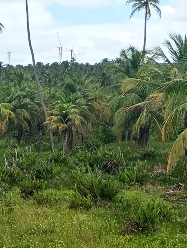 Terreno à venda em Trairi/CE - Excelente oportunidade!
