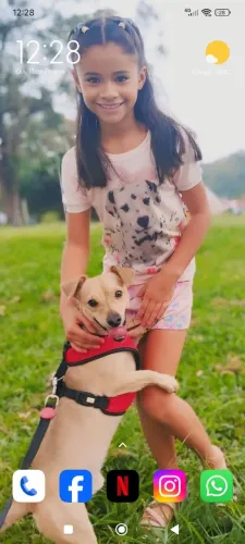 Doando cachorro