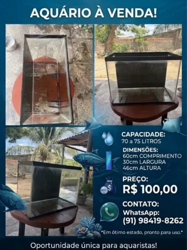Aquário a venda