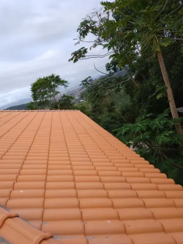 Especislializados em telhados