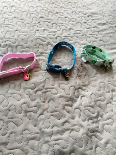 Coleira para gato