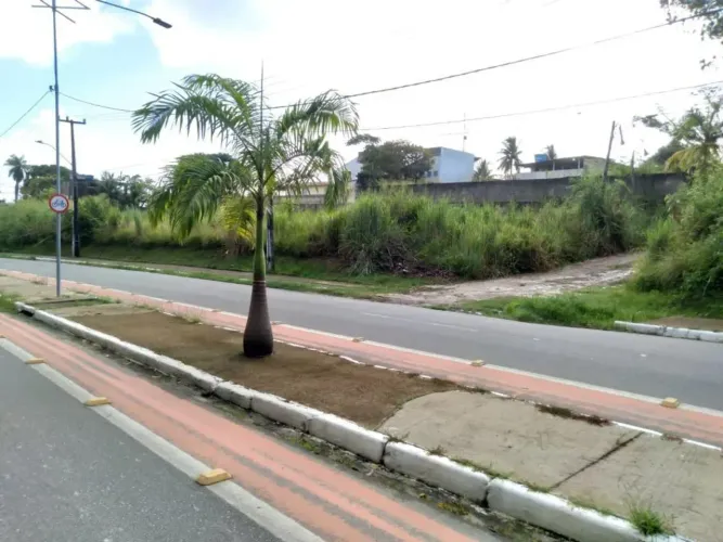 TERRENO - Área total dos 4 lotes: 2.448 m².