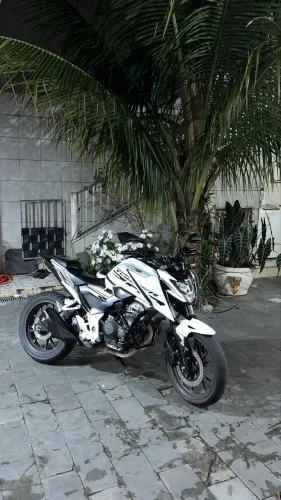 Cb300F Tw 2024/2025