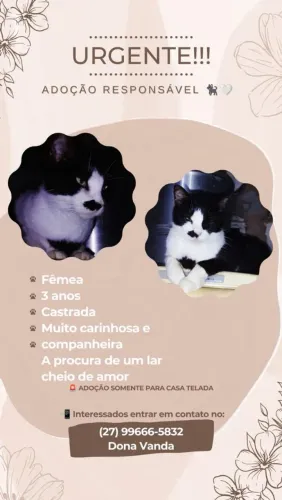 Gastos prá adoção responsável