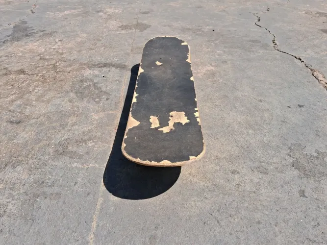 Skate usado