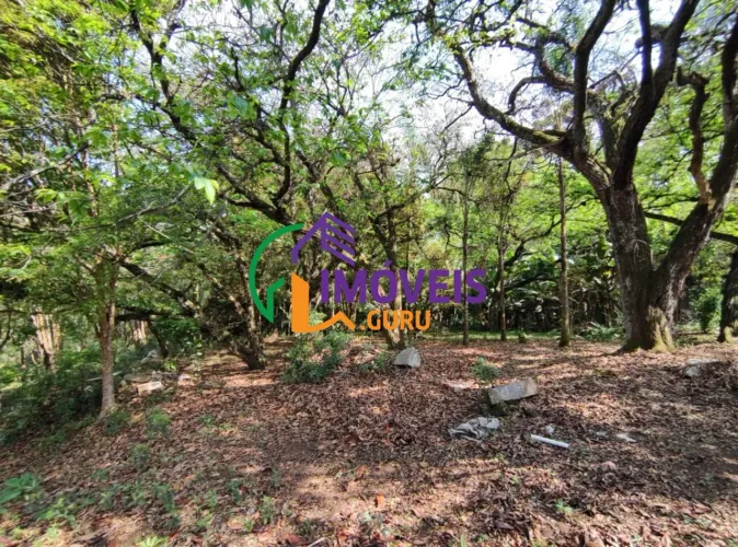 TERRENO - BIANUCCI - MG