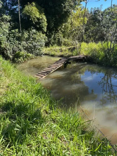 Chácara / Venda - 2 Hectares casa e agricultura - Bairro da Fazenda das Palmeiras emPiraju