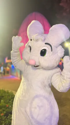 Personagens Vivos para Festa ? Homem-Aranha, Patrulha Canina, Coelhinho e mais