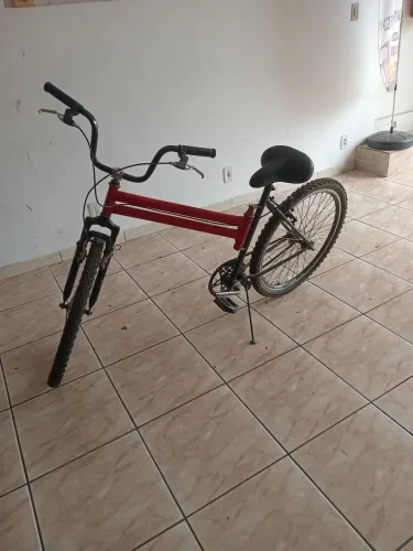 Bicicleta maria mole