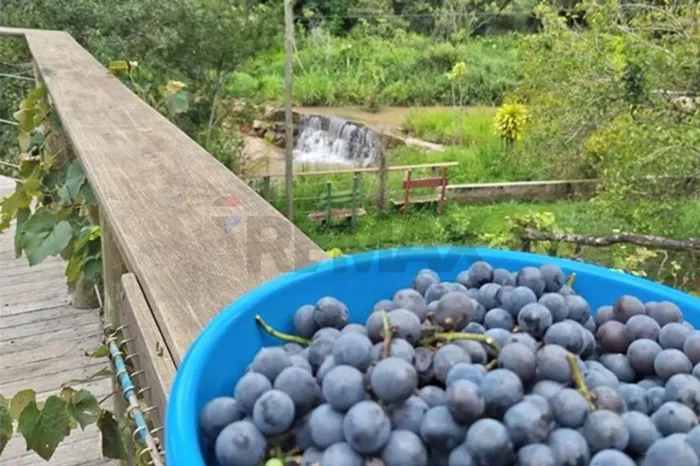 Chácara dos Sonhos: Conforto e Natureza Unida