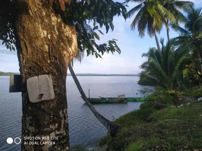 Vendo maravilhosa fazenda em itubera