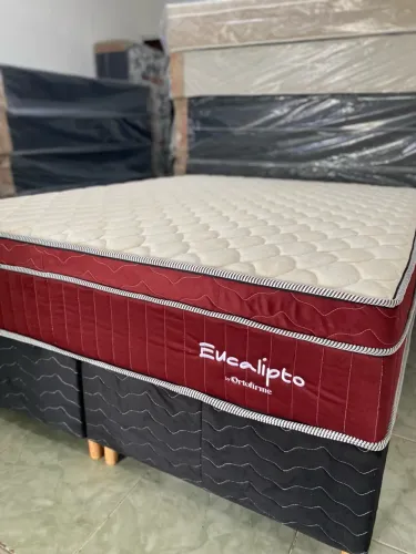 Cama Box Queen Eucalipto Mega Oferta