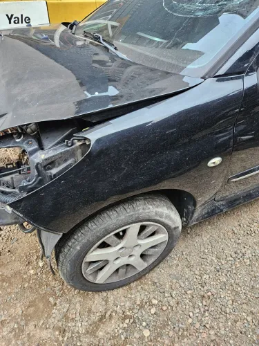 Paralama esquerdo peugeot 207