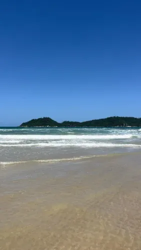 Apto para temporada.