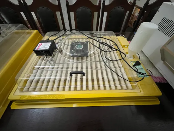 Chocadeira IP130 premium ecológica 