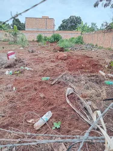 Ótimo lote a venda no jardim inga Luziânia