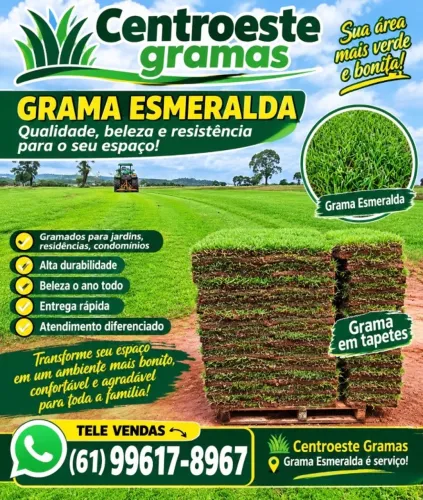 Grama esmeralda direto da fazenda a vc consumidor