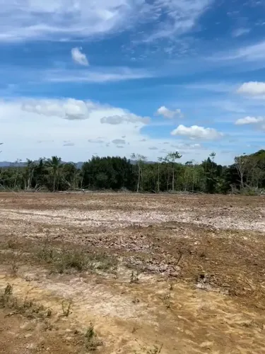 fazenda em una 10,5 hectares