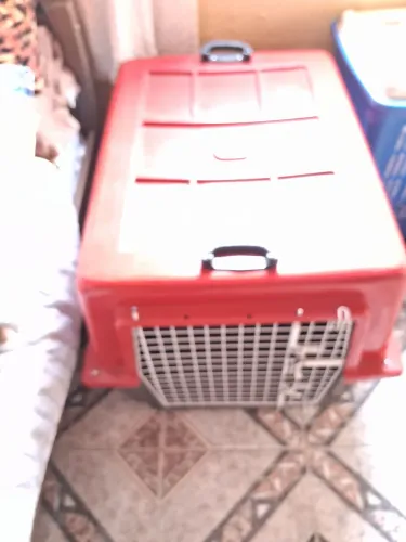 Caixa transportadora de cachorro. 