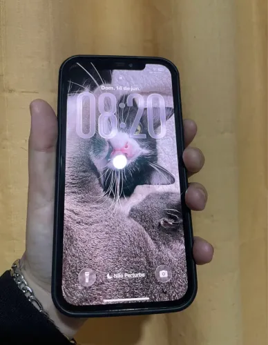 iPhone 12 Pro max