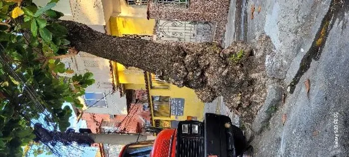 Oportunidade Única em RIO DE JANEIRO - RJ | Tipo: Casa | Negociação: Venda Online | Situaç