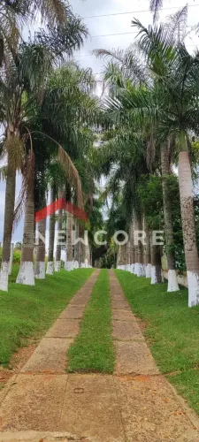 Sítio em Rua Silva Jardim - Centro - Itapetininga/SP