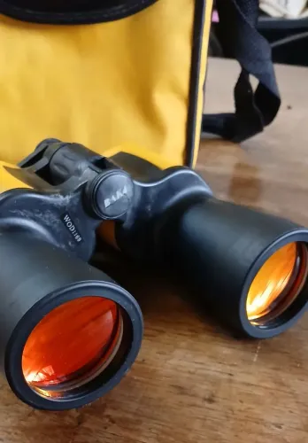 BINÓCULOS 