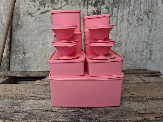 Conjunto Tupperware Rosa Completo - 11 Peças